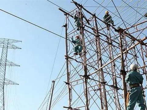 VNECO 9 (VE9): Toàn bộ HĐQT từ nhiệm sau khi xuất hiện nhóm cổ đông lớn mới