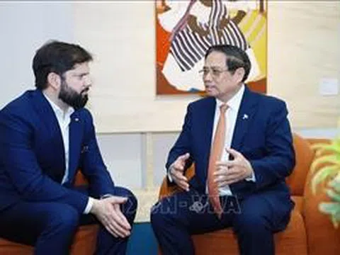 Việt Nam coi trọng quan hệ và thúc đẩy hợp tác nhiều mặt với Chile