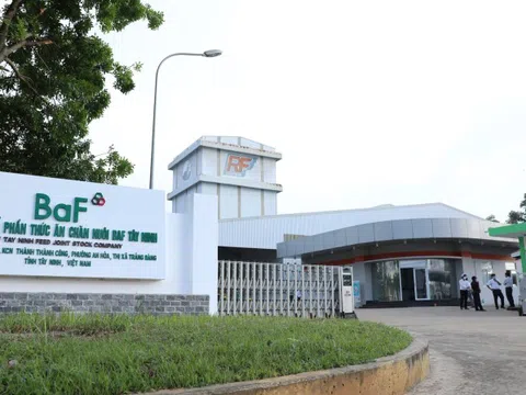 BaF Việt Nam (BAF) góp 150 tỷ đồng thành lập một công ty con ở tỉnh Ninh Bình