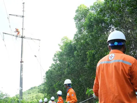 Công an vào cuộc vụ người dân chặt keo làm đứt đường dây điện 110KV