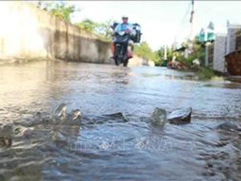 Đề phòng triều cường khu vực ven biển Đông Nam Bộ