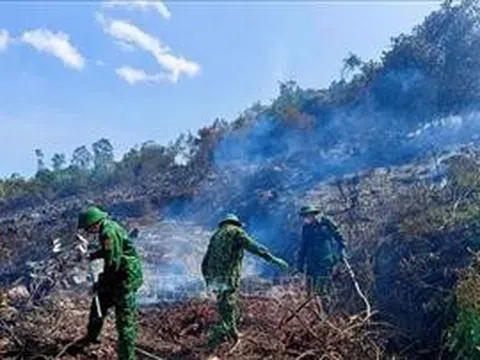 Nghệ An: Kịp thời khống chế, dập tắt vụ cháy rừng