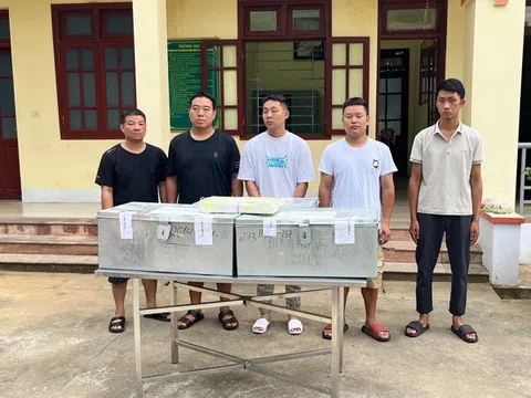 Lào Cai: Triệt phá đường dây vận chuyển hơn 2 tạ bạc qua biên giới