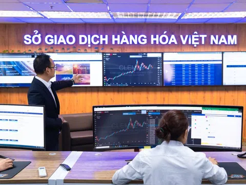 Sức mạnh giành thị phần: 5 công ty môi giới hàng hóa giữ vị thế áp đảo