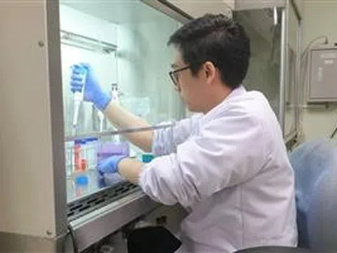 Indonesia phát hiện hợp chất mới chống ung thư
