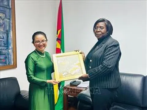 Thủ tướng Mozambique cam kết thúc đẩy hợp tác toàn diện với Việt Nam