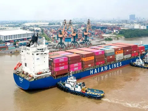 Lãi quý I tăng 294%, Xếp dỡ Hải An (HAH) chốt kế hoạch trả cổ tức 30% bằng cổ phiếu
