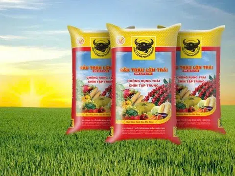 Phân bón Bình Điền (BFC) ước lãi quý II/2025 đạt hơn 184 tỷ đồng