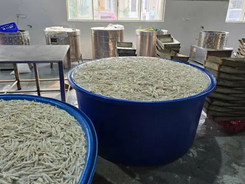 Phát hiện hàng tấn chân gà ngâm hóa chất trong kho đông lạnh chuẩn bị đưa ra thị trường
