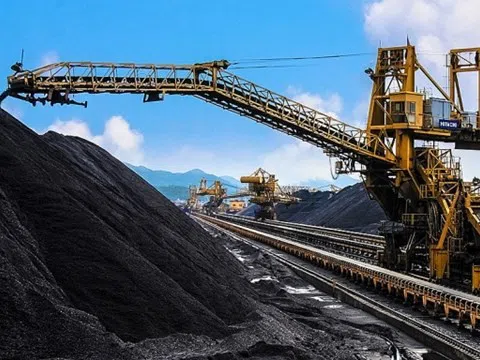 Bimico (BMC) dự kiến chi hơn 16 tỷ đồng trả cổ tức cho cổ đông