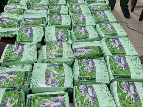 Phá đường dây mua bán 60 bánh heroin và 37kg ma tuý đá
