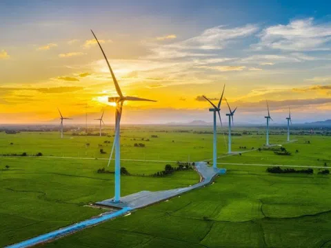 Quảng Trị: Chấp thuận chủ trương đầu tư dự án nhà máy điện gió hơn 1.200 tỷ đồng