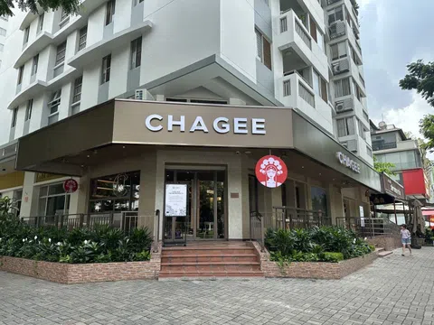 Câu chuyện Chagee: Từ Vân Nam ra thế giới và cỗ máy nhượng quyền tạo gần nửa tỷ USD doanh thu