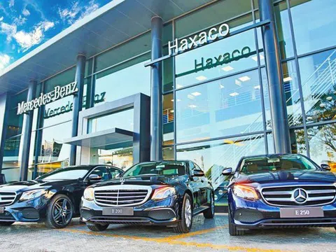 Phó Tổng Giám đốc Haxaco muốn giảm sở hữu tại doanh nghiệp