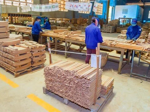 Phú Tài lãi hơn 304 tỷ đồng sau 6 tháng, hoàn thành 64% kế hoạch năm