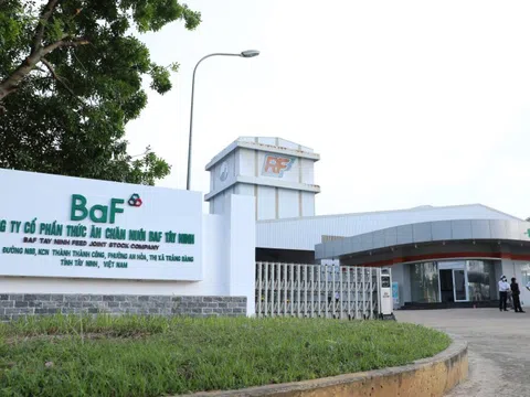 BAF sẽ thế nào khi ngưng hoàn toàn hoạt động kinh doanh nông sản?
