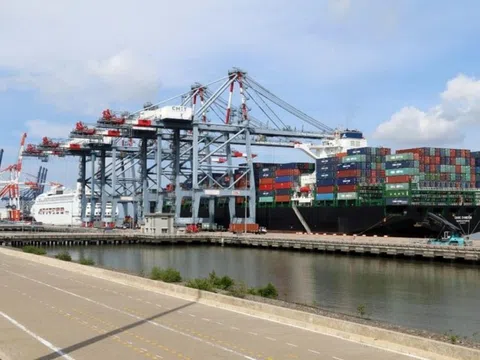 Cảng Đồng Nai (PDN): Lợi nhuận quý II/2025 tăng đột biến gần 50%, vượt 62% kế hoạch năm