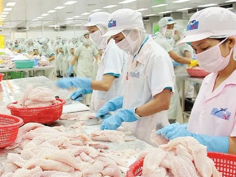 Thủy sản Hùng Vương bị xử phạt