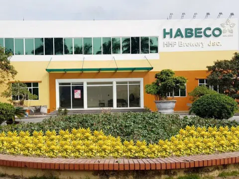 Habeco - Hải Phòng (HBH): Lỗ bán niên năm thứ 3 liên tiếp, rút tiền gửi trả sạch nợ vay