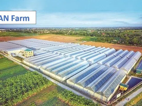 Công ty con của Tập đoàn Pan (PAN) trả nợ trước hạn 200 tỷ đồng trái phiếu