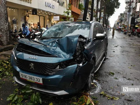 Tp.HCM: Cây to lâu năm gãy đổ đè phương tiện lưu thông trên đường