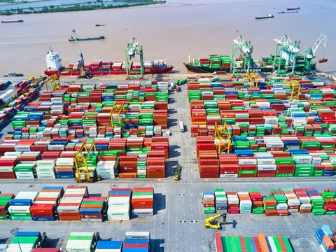 Viconship (VSC) báo lãi bán niên cao nhất lịch sử, hoàn thành 79% kế hoạch năm