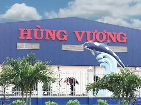 ‘Vua cá tra’ Hùng Vương (HVG) bị xử phạt vì vi phạm công bố thông tin suốt 3 năm