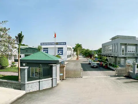 Cổ phiếu DGC tăng 41% từ đáy, Dragon Capital bán ra giảm sở hữu