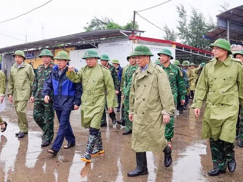Kiên quyết đưa ngư dân đi tránh bão, có phương án bảo vệ tài sản