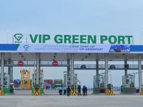 Cảng Xanh Vip (VGR) sắp phát hành 19 triệu cổ phiếu trả cổ tức, Viconship tiếp tục thoái vốn
