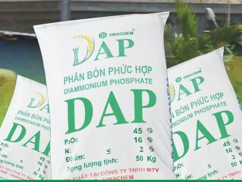 DAP - Vinachem (DDV) lãi ròng 275 tỷ đồng sau 6 tháng đầu năm 2025