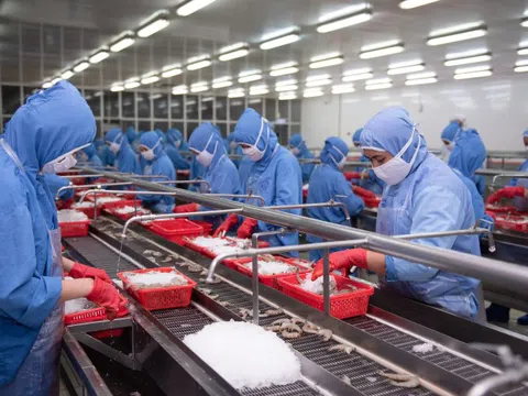 Sao Ta báo lãi tăng trưởng nhờ vụ tôm hiệu quả