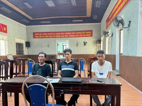 Truy vết xuyên tỉnh, bắt “nóng” nhóm đối tượng trộm cây cảnh giá trị cao ở Huế