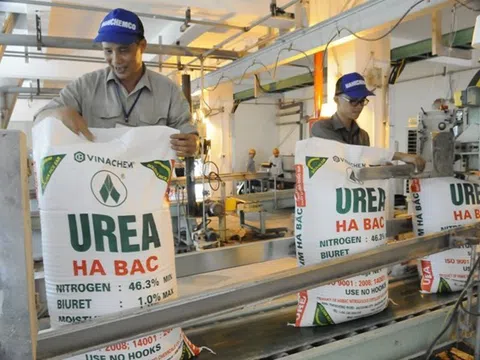 Đạm Hà Bắc (DBH) lãi 42 tỷ đồng trong quý II/2025 nhờ giá ure tăng