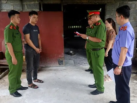 Khởi tố 2 đối tượng giết mổ, tiêu thụ thịt lợn nhiễm bệnh dịch tả châu Phi