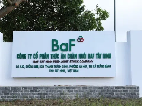 BAF Việt Nam (BAF) báo lãi kỷ lục quý II/2025, đạt 195 tỷ đồng nhờ đẩy mạnh chăn nuôi heo