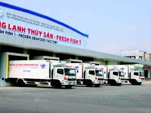 Đầu tư và Phát triển đa quốc gia (IDI) báo lãi ròng quý II/2025 tăng 83%, đạt 33 tỷ đồng