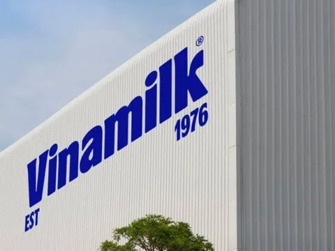 Vinamilk (VNM): Doanh thu quý II/2025 đạt kỷ lục 16.745 tỷ đồng, xuất khẩu tăng trưởng mạnh