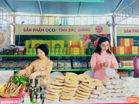 VIETNAM OCOPEX 2025: Thúc đẩy văn hóa vùng miền, đưa sản phẩm OCOP Việt Nam vươn tầm thế giới