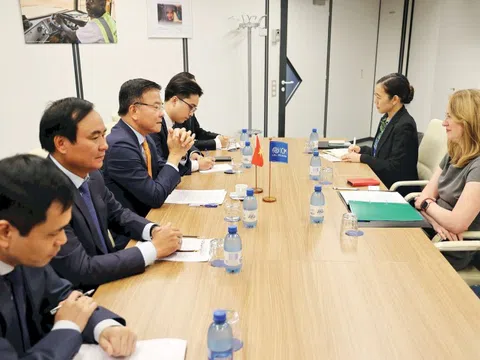Việt Nam là hình mẫu khu vực về hợp tác với IOM