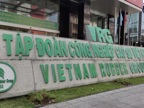 Công nghiệp Cao su Việt Nam (GVR) báo lãi sau thuế bán niên tăng gần gấp đôi so với cùng kỳ