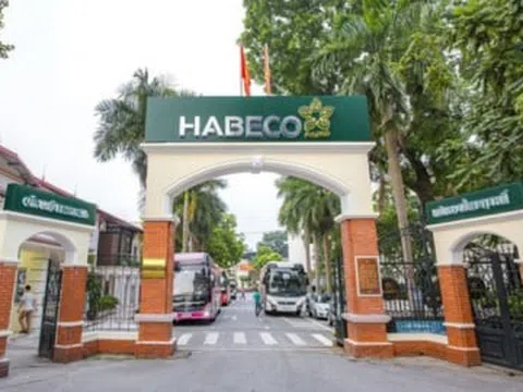 Habeco (BHN): Doanh thu cao nhất 10 quý nhưng lợi nhuận giảm vì chi phí quảng cáo