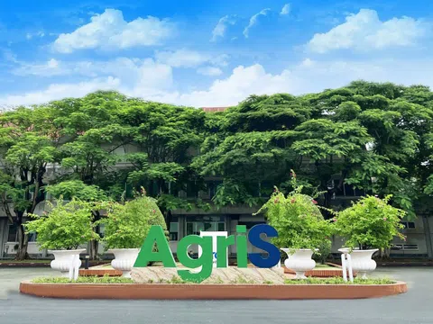 TTC AgriS (SBT): Kết quả lợi nhuận khởi sắc, bổ nhiệm nhân sự cấp cao mới