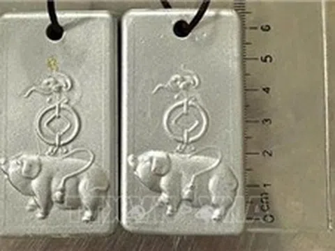 Truy tố đối tượng người nước ngoài mang vàng trái phép vào Việt Nam