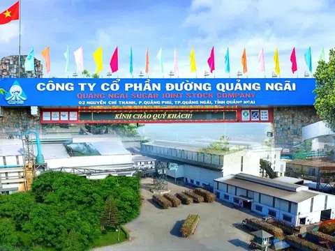 Cổ đông của Đường Quảng Ngãi (QNS) sắp nhận được 368 tỷ đồng tiền cổ tức đợt 1/2025
