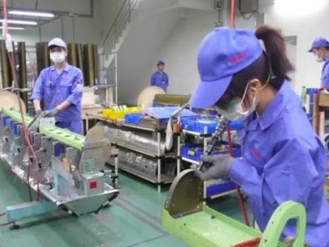 Theo quy định mới nhất, trường hợp nào doanh nghiệp được tạm dừng đóng bảo hiểm xã hội?
