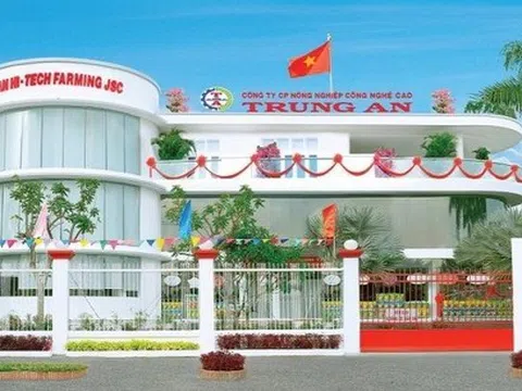 Trung An (TAR) báo lỗ 22,4 tỷ đồng sau 6 tháng, cách xa kế hoạch năm