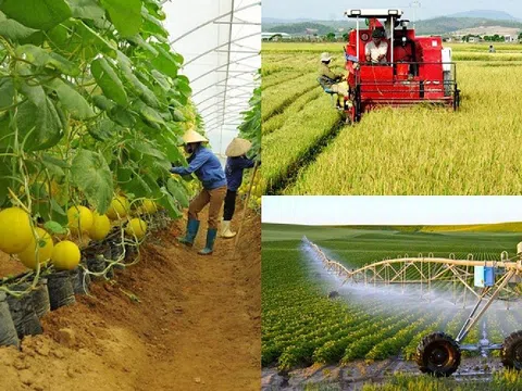 Bộ Nông nghiệp và Môi trường thành lập 10 đoàn công tác hỗ trợ giải quyết vướng mắc của địa phương
