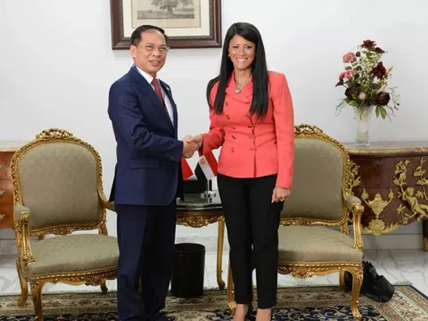 Ai Cập mong muốn tìm hiểu kinh nghiệm phát triển của Việt Nam