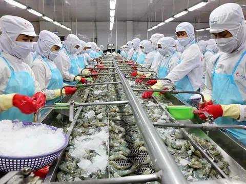 Doanh thu đi xuống, lợi nhuận Minh Phú vẫn tăng vọt nhờ cắt giảm chi phí